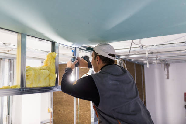 Best Eco-Friendly Insulation in La Porte, IN